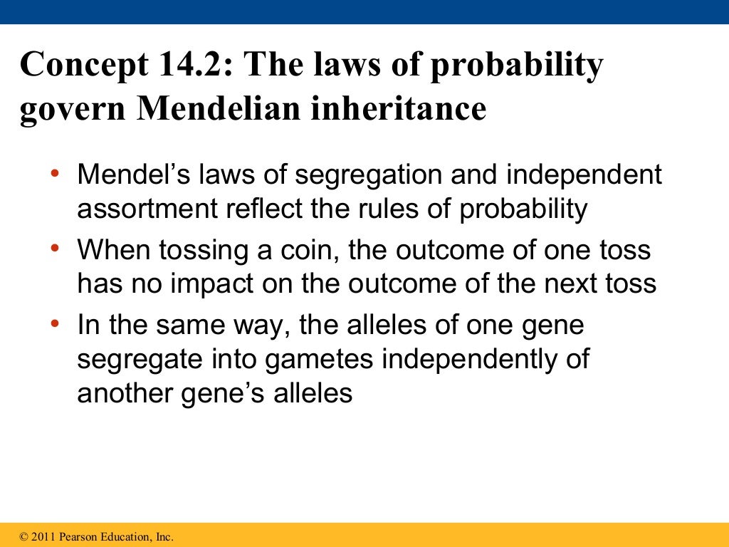 Ch 14 Mendel And The Gene Idea 7581