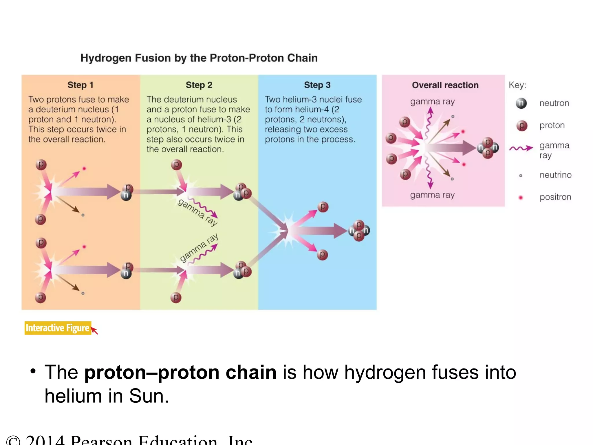 • The proton–proton chain is how hydrogen fuses into
helium in Sun.
 