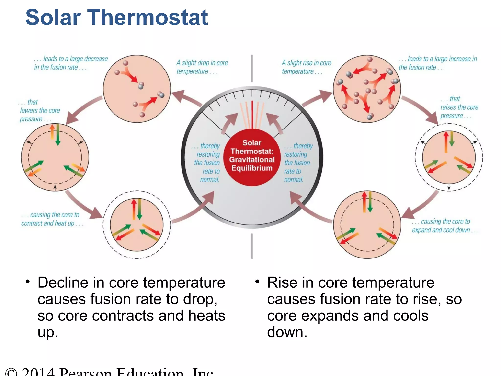 Solar Thermostat
• Decline in core temperature
causes fusion rate to drop,
so core contracts and heats
up.
• Rise in core temperature
causes fusion rate to rise, so
core expands and cools
down.
 