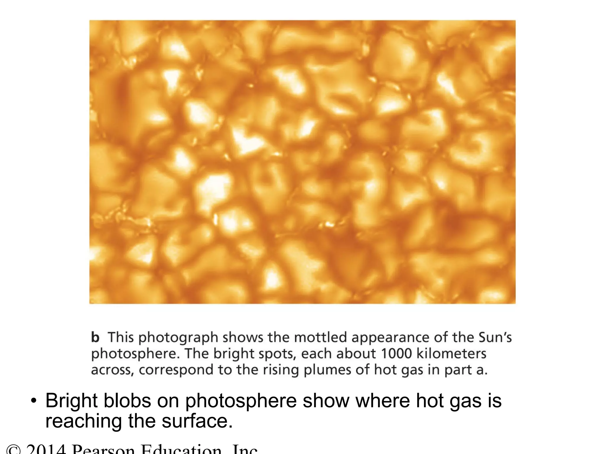 • Bright blobs on photosphere show where hot gas is
reaching the surface.
 