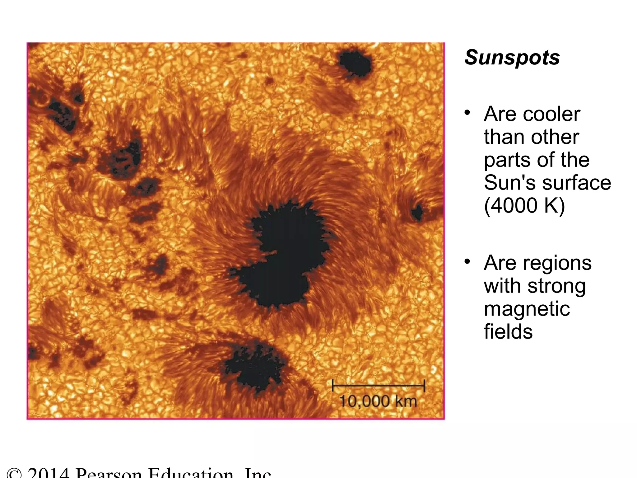 Sunspots
• Are cooler
than other
parts of the
Sun's surface
(4000 K)
• Are regions
with strong
magnetic
fields
 