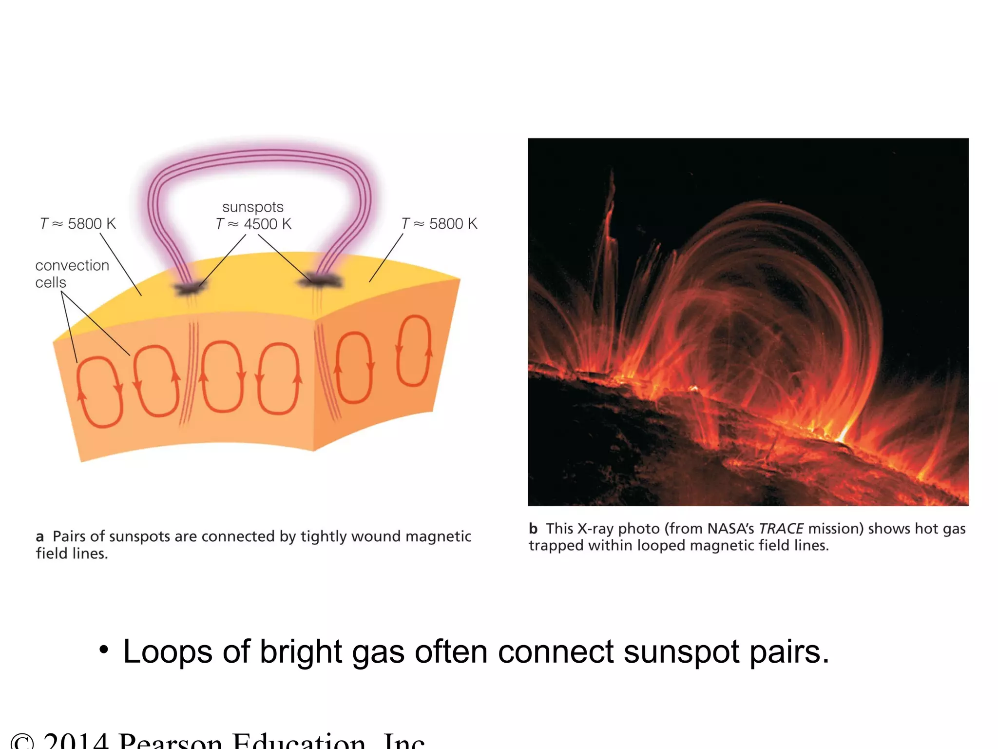 • Loops of bright gas often connect sunspot pairs.
 