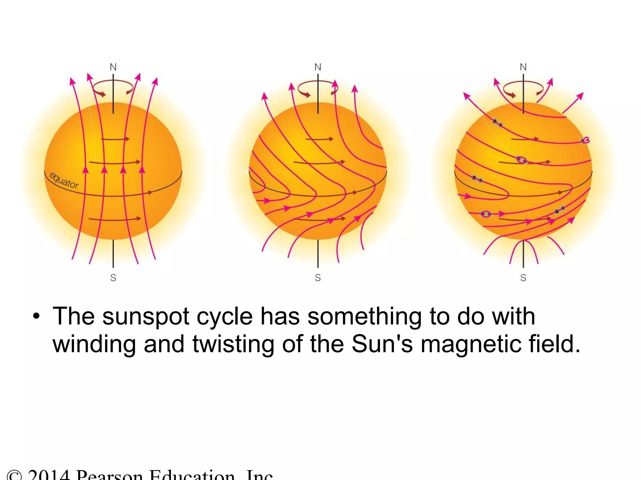 • The sunspot cycle has something to do with
winding and twisting of the Sun's magnetic field.
 