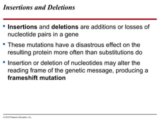 © 2014 Pearson Education, Inc.
Insertions and Deletions
 Insertions and deletions are additions or losses of
nucleotide pairs in a gene
 These mutations have a disastrous effect on the
resulting protein more often than substitutions do
 Insertion or deletion of nucleotides may alter the
reading frame of the genetic message, producing a
frameshift mutation
 
