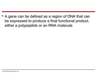 © 2014 Pearson Education, Inc.
 A gene can be defined as a region of DNA that can
be expressed to produce a final functional product,
either a polypeptide or an RNA molecule
 