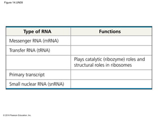 © 2014 Pearson Education, Inc.
Figure 14.UN09
 