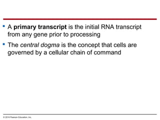 © 2014 Pearson Education, Inc.
 A primary transcript is the initial RNA transcript
from any gene prior to processing
 The central dogma is the concept that cells are
governed by a cellular chain of command
 