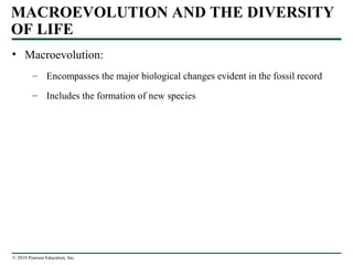 © 2010 Pearson Education, Inc.
MACROEVOLUTION AND THE DIVERSITY
OF LIFE
• Macroevolution:
– Encompasses the major biological changes evident in the fossil record
– Includes the formation of new species
 