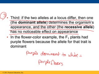14 lecture presentation revised | PPT