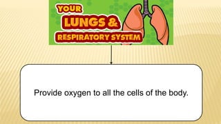 Provide oxygen to all the cells of the body.