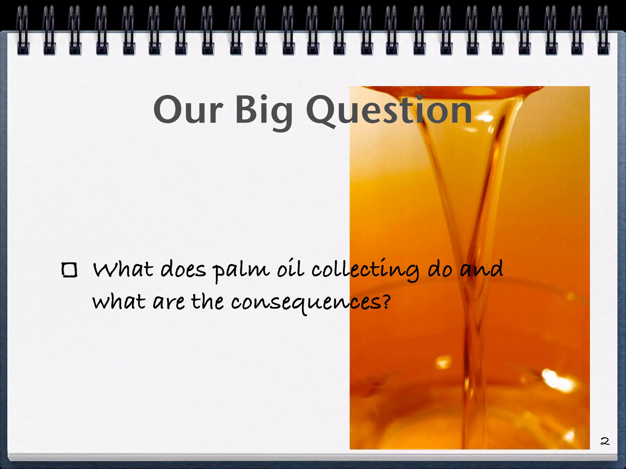 Our Big Question
What does palm oil collecting do and
what are the consequences?
2