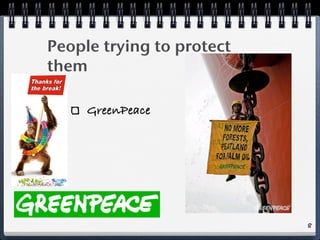 People trying to protect
them
GreenPeace
8