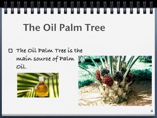The Oil Palm Tree

The Oil Palm Tree is the
main source of Palm
Oil.




                           3
 