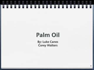 Palm Oil
By: Luke Canes
Corey Walters




                 1
 