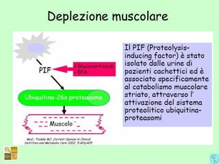Deplezione muscolare
 