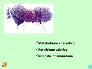 Metabolismo energetico
Restrizione calorica
Risposta infiammatoria
 