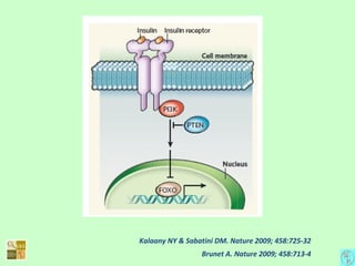 Kalaany NY & Sabatini DM. Nature 2009; 458:725-32
Brunet A. Nature 2009; 458:713-4
 