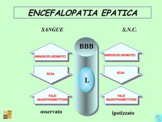 ENCEFALOPATIA EPATICA
osservato ipotizzato
AMINOACIDI AROMATICI
BCAA
FALSI
NEUROTRASMETTITORI
SANGUE S.N.C.
BBB
L
AMINOACIDI AROMATICI
BCAA
FALSI
NEUROTRASMETTITORI
 