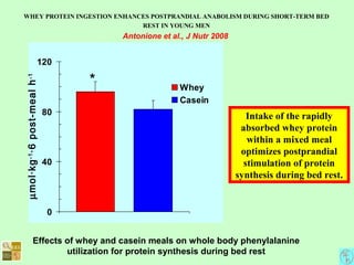 WHEY PROTEIN INGESTION ENHANCES POSTPRANDIAL ANABOLISM DURING SHORT-TERM BED
REST IN YOUNG MEN
Antonione et al., J Nutr 2008
0
40
80
120
Whey
Casein
µmol·kg-1
·6post-mealh-1
*
Effects of whey and casein meals on whole body phenylalanine
utilization for protein synthesis during bed rest
Intake of the rapidly
absorbed whey protein
within a mixed meal
optimizes postprandial
stimulation of protein
synthesis during bed rest.
 