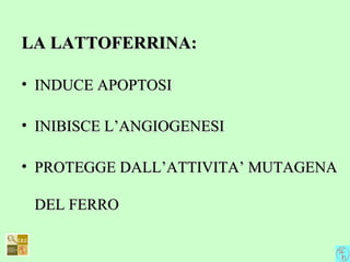 LA LATTOFERRINA:LA LATTOFERRINA:
• INDUCE APOPTOSIINDUCE APOPTOSI
• INIBISCE L’ANGIOGENESIINIBISCE L’ANGIOGENESI
• PROTEGGE DALL’ATTIVITA’ MUTAGENAPROTEGGE DALL’ATTIVITA’ MUTAGENA
DEL FERRODEL FERRO
 