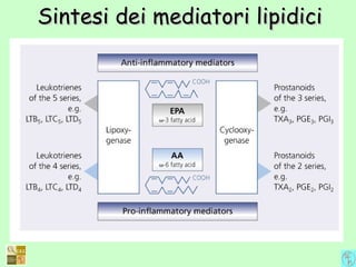 Sintesi dei mediatori lipidiciSintesi dei mediatori lipidici
 