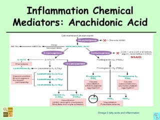 Omega-3 fatty acids and inflammation
Inflammation Chemical
Mediators: Arachidonic Acid
 