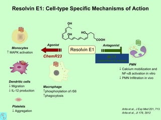 BLT1
Leukotriene B4 receptor
PMN
↓ Calcium mobilization and
NF-κB activation in vitro
↓ PMN Infiltration in vivo
Antagonist
Resolvin E1: Cell-type Specific Mechanisms of Action
Resolvin E1
Dendritic cells
↓ Migration
↓ IL-12 production
Monocytes
↑ MAPK activation
ChemR23
Agonist
Macrophage
↑phosphorylation of rS6
↑phagocytosis
Platelets
↓ Aggregation
OH
OH
COOH
HO
Arita et al., J Exp Med 201, 713
Arita et al., JI 178, 3912
 