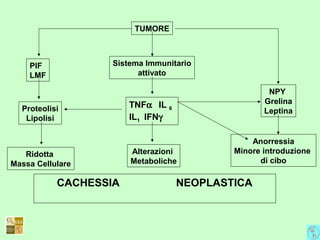 TUMORE
PIF
LMF
Sistema Immunitario
attivato
Proteolisi
Lipolisi
Ridotta
Massa Cellulare
TNFα IL 6
IL1 IFNγ
Alterazioni
Metaboliche
CACHESSIA NEOPLASTICA
NPY
Grelina
Leptina
Anorressia
Minore introduzione
di cibo
 