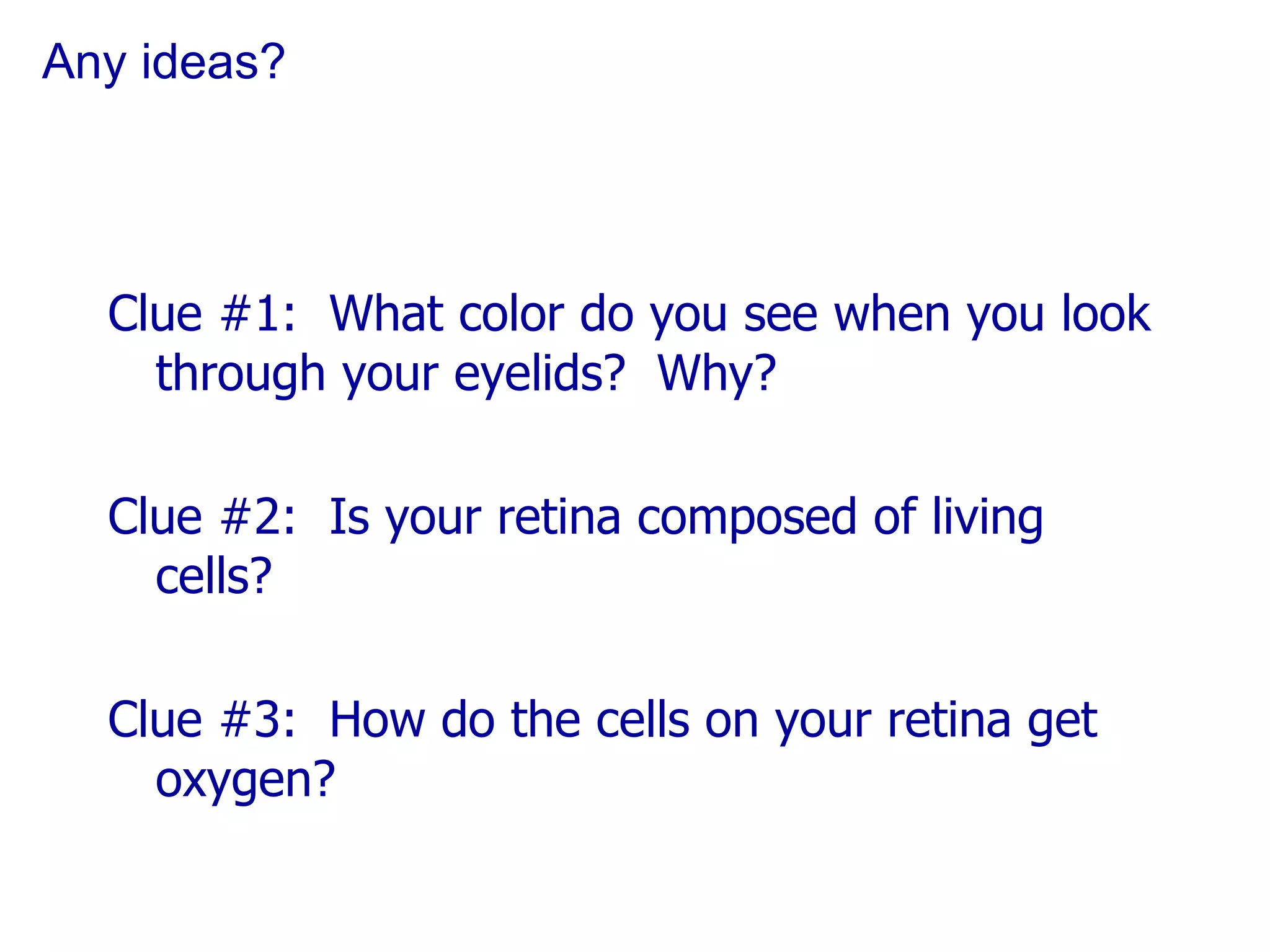 Any ideas? Clue #1:  What color do you see when you look through your eyelids?  Why? Clue #2:  Is your retina composed of living cells? Clue #3:  How do the cells on your retina get oxygen? 