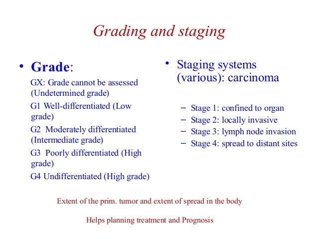 skin 1 stage treatment cancer march 14 seminar skin 1 stage treatment cancer march 14 seminar