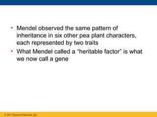 • Mendel observed the same pattern of
       inheritance in six other pea plant characters,
       each represented by two traits
     • What Mendel called a “heritable factor” is what
       we now call a gene




© 2011 Pearson Education, Inc.
 