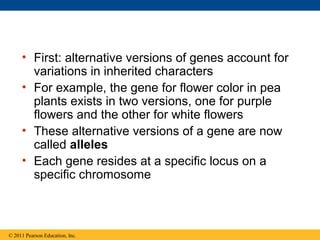 • First: alternative versions of genes account for
       variations in inherited characters
     • For example, the gene for flower color in pea
       plants exists in two versions, one for purple
       flowers and the other for white flowers
     • These alternative versions of a gene are now
       called alleles
     • Each gene resides at a specific locus on a
       specific chromosome



© 2011 Pearson Education, Inc.
 