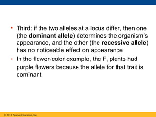 • Third: if the two alleles at a locus differ, then one
       (the dominant allele) determines the organism’s
       appearance, and the other (the recessive allele)
       has no noticeable effect on appearance
     • In the flower-color example, the F1 plants had
       purple flowers because the allele for that trait is
       dominant




© 2011 Pearson Education, Inc.
 