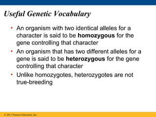Useful Genetic Vocabulary
     • An organism with two identical alleles for a
       character is said to be homozygous for the
       gene controlling that character
     • An organism that has two different alleles for a
       gene is said to be heterozygous for the gene
       controlling that character
     • Unlike homozygotes, heterozygotes are not
       true-breeding




© 2011 Pearson Education, Inc.
 