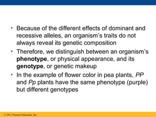 • Because of the different effects of dominant and
       recessive alleles, an organism’s traits do not
       always reveal its genetic composition
     • Therefore, we distinguish between an organism’s
       phenotype, or physical appearance, and its
       genotype, or genetic makeup
     • In the example of flower color in pea plants, PP
       and Pp plants have the same phenotype (purple)
       but different genotypes


© 2011 Pearson Education, Inc.
 