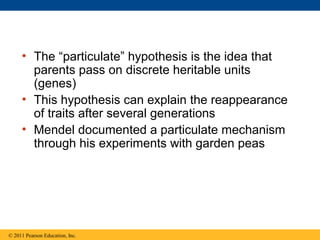 • The “particulate” hypothesis is the idea that
       parents pass on discrete heritable units
       (genes)
     • This hypothesis can explain the reappearance
       of traits after several generations
     • Mendel documented a particulate mechanism
       through his experiments with garden peas




© 2011 Pearson Education, Inc.
 