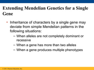 Extending Mendelian Genetics for a Single
Gene
     • Inheritance of characters by a single gene may
       deviate from simple Mendelian patterns in the
       following situations:
                – When alleles are not completely dominant or
                  recessive
                – When a gene has more than two alleles
                – When a gene produces multiple phenotypes




© 2011 Pearson Education, Inc.
 