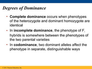 Degrees of Dominance
     • Complete dominance occurs when phenotypes
       of the heterozygote and dominant homozygote are
       identical
     • In incomplete dominance, the phenotype of F1
       hybrids is somewhere between the phenotypes of
       the two parental varieties
     • In codominance, two dominant alleles affect the
       phenotype in separate, distinguishable ways




© 2011 Pearson Education, Inc.
 
