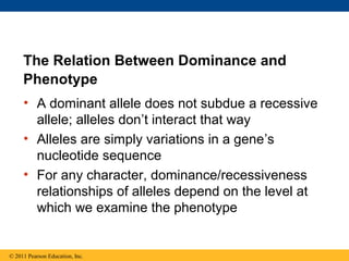 The Relation Between Dominance and
     Phenotype
     • A dominant allele does not subdue a recessive
       allele; alleles don’t interact that way
     • Alleles are simply variations in a gene’s
       nucleotide sequence
     • For any character, dominance/recessiveness
       relationships of alleles depend on the level at
       which we examine the phenotype


© 2011 Pearson Education, Inc.
 