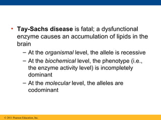 • Tay-Sachs disease is fatal; a dysfunctional
       enzyme causes an accumulation of lipids in the
       brain
                – At the organismal level, the allele is recessive
                – At the biochemical level, the phenotype (i.e.,
                  the enzyme activity level) is incompletely
                  dominant
                – At the molecular level, the alleles are
                  codominant



© 2011 Pearson Education, Inc.
 