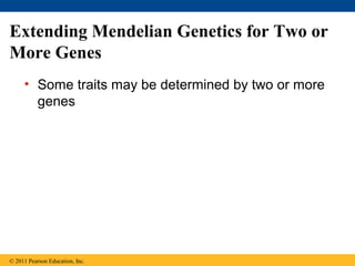 Extending Mendelian Genetics for Two or
More Genes
     • Some traits may be determined by two or more
       genes




© 2011 Pearson Education, Inc.
 
