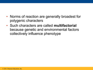 • Norms of reaction are generally broadest for
       polygenic characters
     • Such characters are called multifactorial
       because genetic and environmental factors
       collectively influence phenotype




© 2011 Pearson Education, Inc.
 
