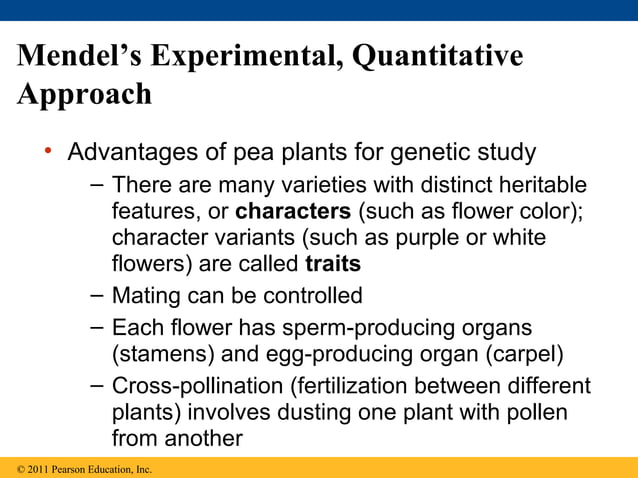 14 mendel and the gene idea | PPT