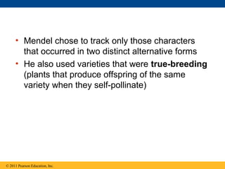 • Mendel chose to track only those characters
       that occurred in two distinct alternative forms
     • He also used varieties that were true-breeding
       (plants that produce offspring of the same
       variety when they self-pollinate)




© 2011 Pearson Education, Inc.
 