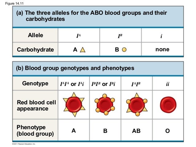 Abo Blood System Chart