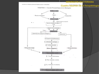 MENINGITIS BACTERIANA
Cuadro resumen de la fisiopatología
 
