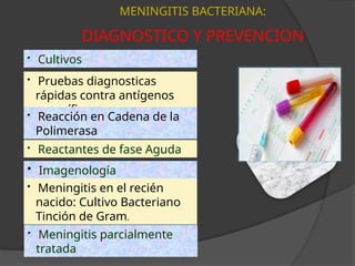 MENINGITIS BACTERIANA:
DIAGNOSTICO Y PREVENCION
• Cultivos
• Pruebas diagnosticas
rápidas contra antígenos
específicos
• Reactantes de fase Aguda
• Reacción en Cadena de la
Polimerasa
• Imagenología
• Meningitis en el recién
nacido: Cultivo Bacteriano
Tinción de Gram.
• Meningitis parcialmente
tratada
 