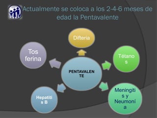 Actualmente se coloca a los 2-4-6 meses de
edad la Pentavalente
PENTAVALEN
TE
Difteria
Tétano
s
Meningiti
s y
Neumoní
a
Hepatiti
s B
Tos
ferina
 