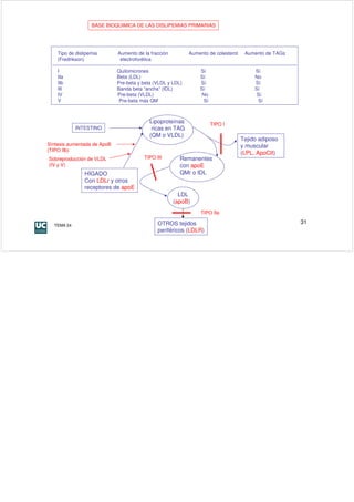 BASE BIOQUIMICA DE LAS DISLIPEMIAS PRIMARIAS




    Tipo de dislipemia       Aumento de la fracción         Aumento de colesterol    Aumento de TAGs
    (Fredrikson)              electroforética

    I                        Quilomicrones                      Sí                       Sí
    IIa                      Beta (LDL)                         Sí                       No
    IIb                      Pre-beta y beta (VLDL y LDL)       Sí                       Sí
    III                      Banda beta “ancha” (IDL)           Sí                       Sí
    IV                       Pre-beta (VLDL)                     No                       Sí
    V                         Pre-beta más QM                    Sí                       Sí



                                           Lipoproteínas              TIPO I
            INTESTINO                       ricas en TAG
                                           (QM o VLDL)
                                                                                    Tejido adiposo
Síntesis aumentada de ApoB                                                          y muscular
(TIPO IIb)
                                                                                    (LPL, ApoCII)
Sobreproducción de VLDL                 TIPO III        Remanentes
(IV y V)                                                con apoE
                HÍGADO                                  QMr o IDL
                Con LDLr y otros
                receptores de apoE
                                                        LDL
                                                      (apoB)
                                                                 TIPO IIa

  TEMA 24                                     OTROS tejidos                                            31
                                              periféricos (LDLR)
 