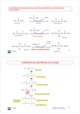 LA SÍNTESIS DE MEVALONATO ES LA ETAPA LIMITANTE DE LA SÍNTESIS DE
COLESTEROL


                                          O

                                     CH3 – C - SCoA                CoA-SH
                 O                                                                             O           O
         CH3 – C - SCoA                                                               CH3 – C – CH2 - C - SCoA
         Acetil CoA                              TIOLASA                                    Acetoacetil CoA


                                           O

                                     CH3 – C - SCoA                 CoA-SH
             O         O                                                                            OH            O
                                                                                     -O C   – CH2- C – CH2 - C - SCoA
    CH3 – C – CH2 - C - SCoA                                                           2

         Acetoacetil CoA
                                         HMG CoA SINTASA                                            CH3
                                                                                                              HMG CoA


                                                                           2 NADP+
                 OH         O                                          CoA-SH                      OH
                                         2NADPH + 2H+
  -O C                                                                           -O C    – CH2- C – CH2 – CH2OH
    2    – CH2- C – CH2 - C - SCoA                                                 2


                 CH3                                                                               CH3
                           HMG CoA     HMG CoA REDUCTASA                                                                5
   TEMA 24                                                                                  Mevalonato




                       FORMACIÓN DE ISOPRENOS ACTIVADOS


                                                Mevalonato




                                                  5-fosfomevalonato




                                                  5 pirofosfomevalonato




                                               3 fosfo 5 pirofosfomevalonato




    ISOPRENOS                                    3 isopentenil pirofosfato
    ACTIVADOS


                                                 Dimetil-alilpirofosfato

   TEMA 24
                                                                                       De Nelson et al. Principles of   6
                                                                                       Biochemistry. 4th Ed. Freeman
 